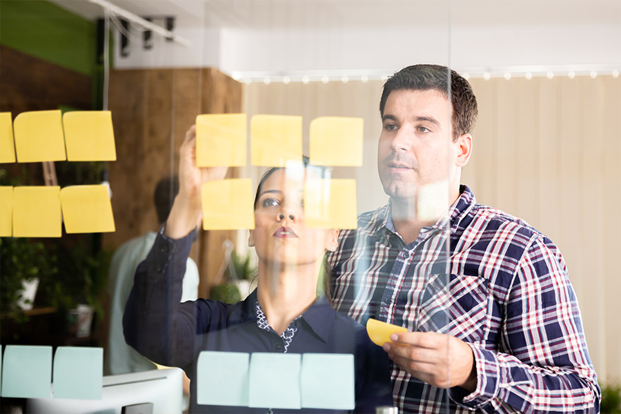 TAM working with business owner